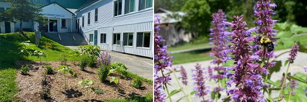 Rain garden at Robinson Elementary School in Starksboro, Vermont. Photos: Ruth Beecher Rain garden at Robinson Elementary School